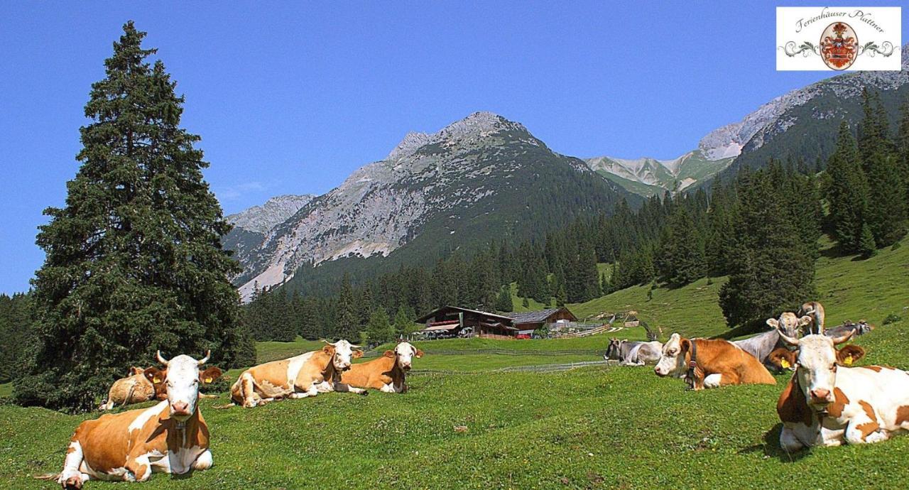Ferienhaus Erika Seefeld in Tirol Ngoại thất bức ảnh
